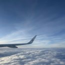 세자매국수 | 아기돼지세자매 칭다오 여행 1일차/중국동방항공/타이동야시장/칭다오샹그릴라호텔/미니소/무예슬거양꼬치