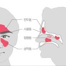 윤이비인후과의원 이미지