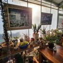 포레스트가족펜션 | 거제가족펜션, 리틀포레스트 1호점 숙박 후기