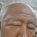 땅벌에게 2방 이미지
