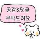 공감 정육점(공감 정육식당) 이미지
