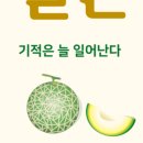 주식회사 기적 이미지