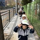 ⛰️🌸매봉산 등산-꽃팽이 만들기🌸⛰️ 이미지