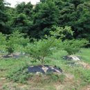 윤가네 농장 이미지