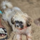 호텔버닝(HOTEL BURNING) | 차 카페 아테나, 엘니도 호핑투어 C, 구스또 젤라또, 엘니도 버닝썬, 옷가게, 호텔 101, 반 쿤 타이마사지