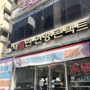 안경생각 | 전주안경점 채플린안경콘택트 방문 후기