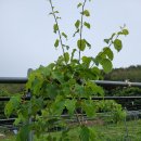 한실농장 이미지