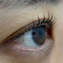 해피뷰티 속눈썹 이미지