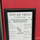 아웃팅 | [파주/카페] 루프탑 뷰까지 완벽한 브런치 맛집, 마장호수카페 아웃팅카페 후기