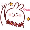 아우라지순두부 이미지