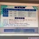 바다정원 ~ 전통시장 입구 | 고성 속초 당일치기 여행 코스 추천 ㅣ 동루골 막국수 바다정원 속초시립 박물관 후기