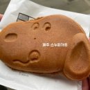 제주 스누피가든 네컷사진 스누피간식 소품샵 굿즈 사온후기