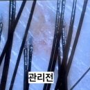 비단결에스테틱
