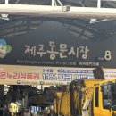 대영란수산 | 제주 동문시장 대왕 갈치조림&구이 이가격 실화?