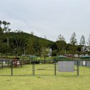 백운호수 주차장 이미지