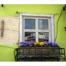 나를 위한 하루 이미지