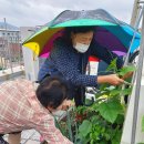 반여행복(여)경로당 이미지