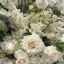 솔병원 | [결혼준비] 솔스퀘어컨벤션 식장 계약완료!