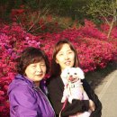 성불사길 이미지