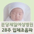 분당-28 | [임신 28주차] 분당제일여성병원 입체 초음파 후기