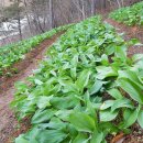 성부농장 이미지