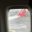 영주목장 | 말띠 셋 제주여행🐴🌴(그옛맛/삐꼴라상점/프로퍼밀도/고을식당/위이/두머니물공원/호누이카/말젯문/5L2F...