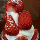 요거프레소수원