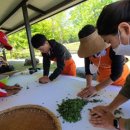 보림제다 이미지