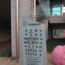 팝스 이미지