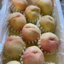 천하제일농장 이미지