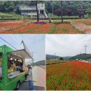 평사리가는길 | 경남 하동 가볼만한곳 동정호 저수지 둘레길 평사리 부부소나무