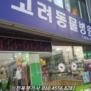 행복펫택시 이미지