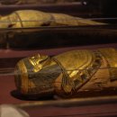「まさかの危険性…」メキシコ古代ミイラの菌に“人類感染の可能性”を専門家が示唆!?何が起きている？ 이미지