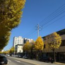 분이네인생짬뽕 이미지