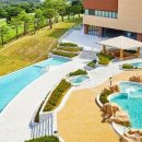 플레이오션(26) 이미지