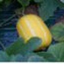 씨앤지환경(주) 이미지