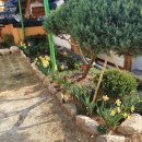 고운이네 한옥민박 이미지