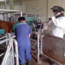 우량농장 이미지