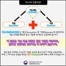디에스푸드 - 송파구 오금로53길 8 | 디에스푸드