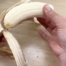 지금까지 “바나나 껍질” 버렸다가 땅을 치고 후회했습니다, 이걸로 써보세요. 이미지