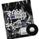 백구(10)