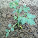 청운농장 이미지