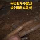 팔송로 이미지