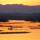 금빛바다 이미지