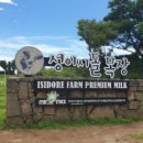 춘희목장 이미지