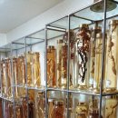 신토불이농장 이미지