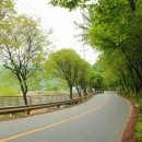 가로수부동산공인중개사사무소 이미지