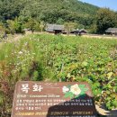 남평문씨본리세거지 주차장 안 이미지