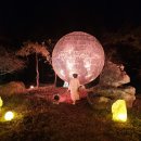 맘스터치 고령점 이미지