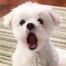 커피에반하다 운정한울마을점 이미지